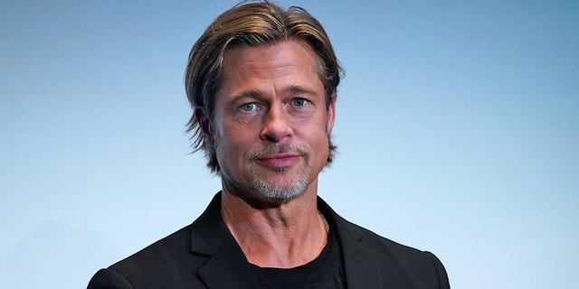 Brad Pitt says he poured his money and sweat into the Maraval business while Jolie is allegedly "Stop contributing."