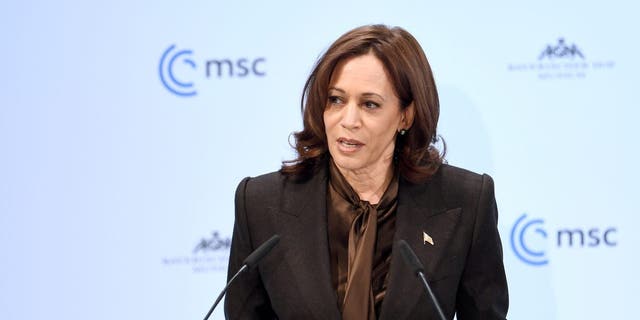 February 19, 2022, Bavaria, Munich: Kamala de Harris, US Vice President, speaks at the 58th Munich Security Conference.  The security conference will take place at the Bayerischer Hof Hotel from February 18-20, 2022. Photo: Tobias Hase/dpa (Photo by Tobias Hase/picture alliance via Getty Images)
