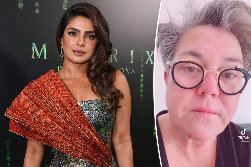 Priyanka Chopra responds to Rosie O'Donnell's public apology