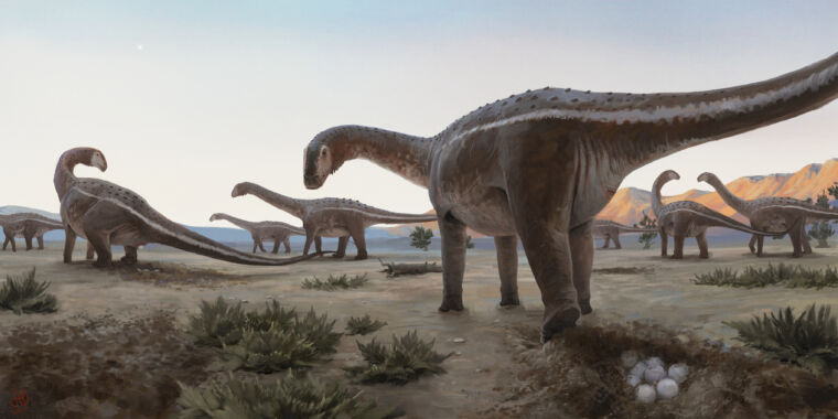 A titanosaur nesting spot was found in Brazil