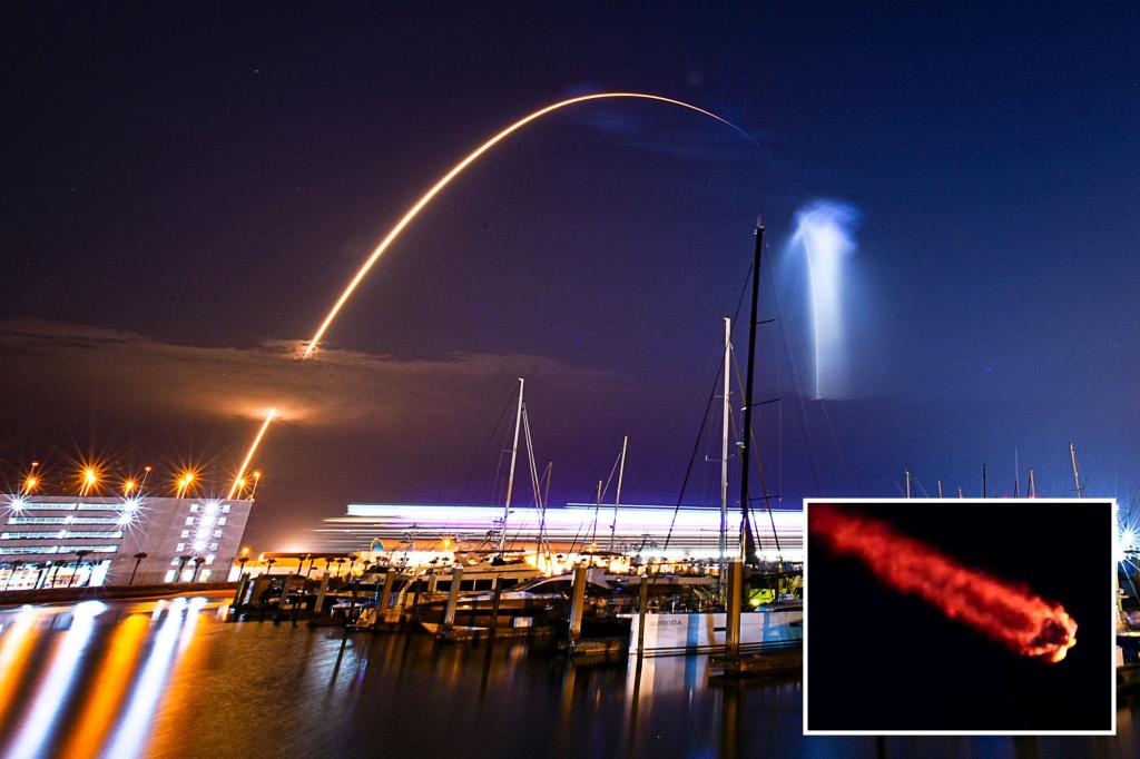 Adorable 'space jellyfish' were seen at night after the launch of SpaceX