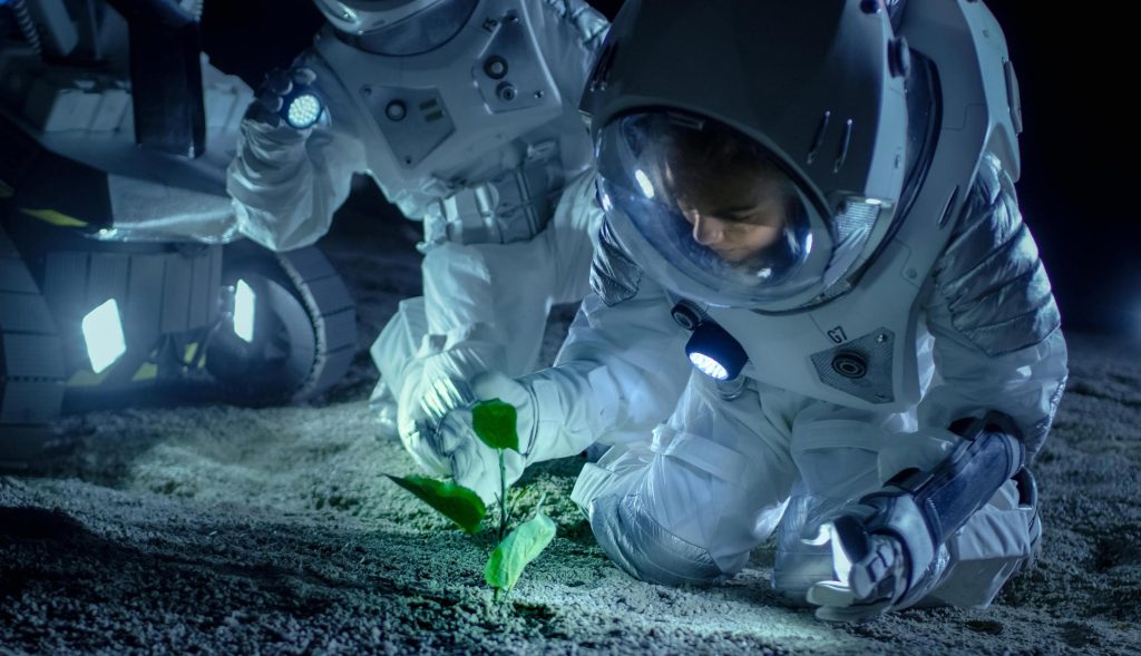 Scientists grow plants in lunar soil - for the first time in human history
