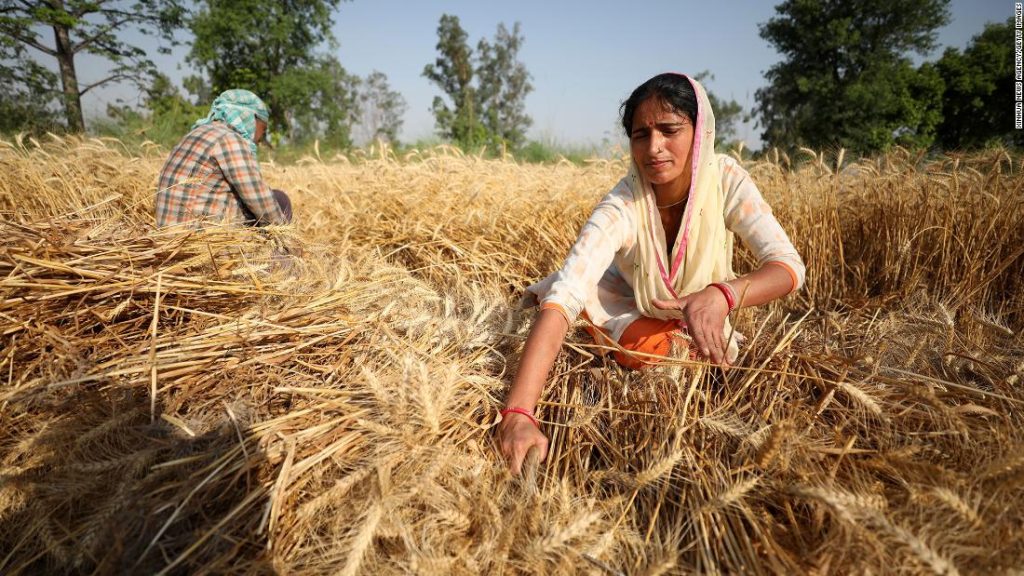 Indian wheat was alleviating the food crisis.  Then exports were banned