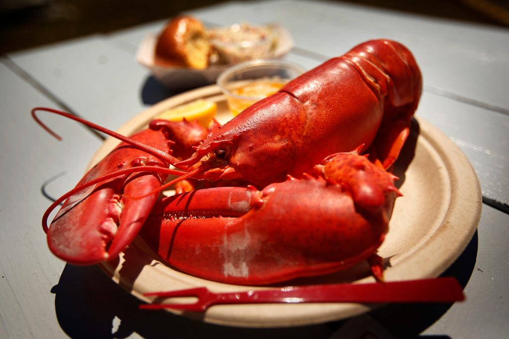 Lobster prices drop as summer peak season approaches