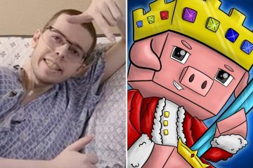 Minecraft YouTuber disappears one year after being diagnosed with cancer