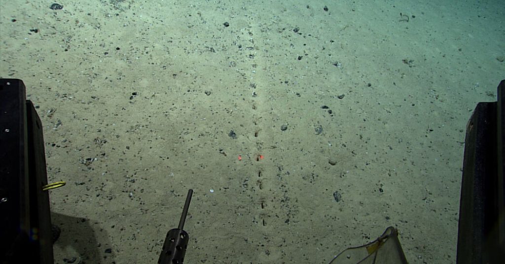 There are holes on the ocean floor.  Scientists do not know why.