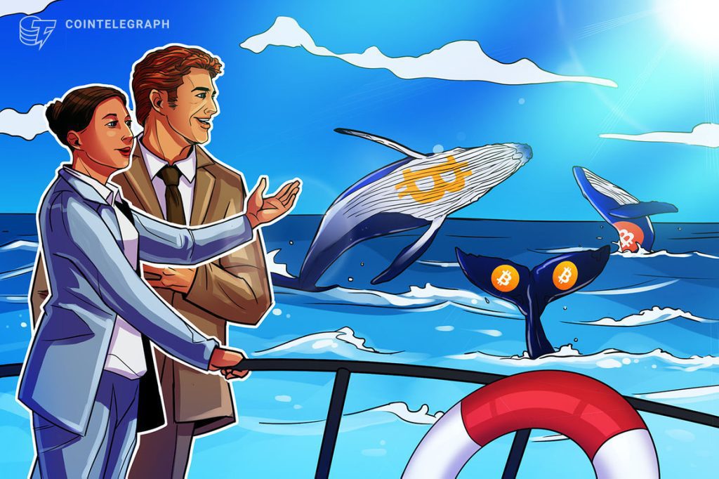 What is bitcoin whale watching and how to track bitcoin whale?