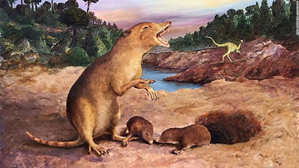 A 225 million-year-old mammal is the oldest ever