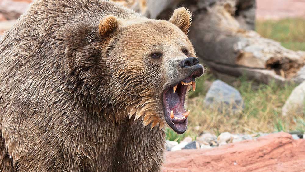Dow Jones hits bear market after short selling today;  What are you doing now