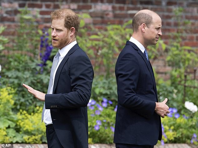 The rift: Harry and William during the unveiling of a statue of their mother, Princess Diana, at Kensington Palace last year
