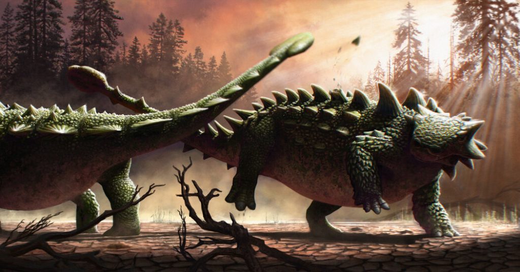 Ankylosaur's tail club wasn't just swung at T. Rex